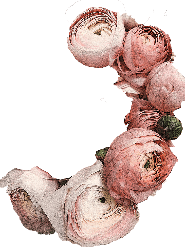 LoveDripp Logo Anniversary Flowers