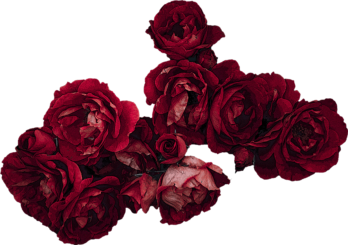 LoveDripp Logo Anniversary Flowers